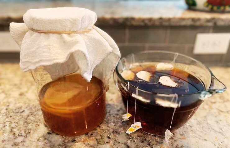 how-long-you-should-steep-tea-when-making-kombucha