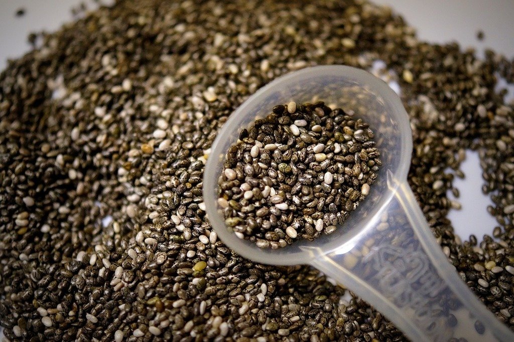 Chia Seeds: Top Common Questions And Answers